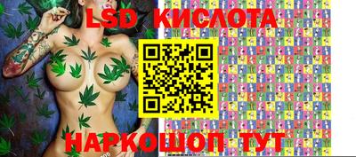 ГАЛЛЮЦИНОГЕННЫЕ ГРИБЫ Свободный
