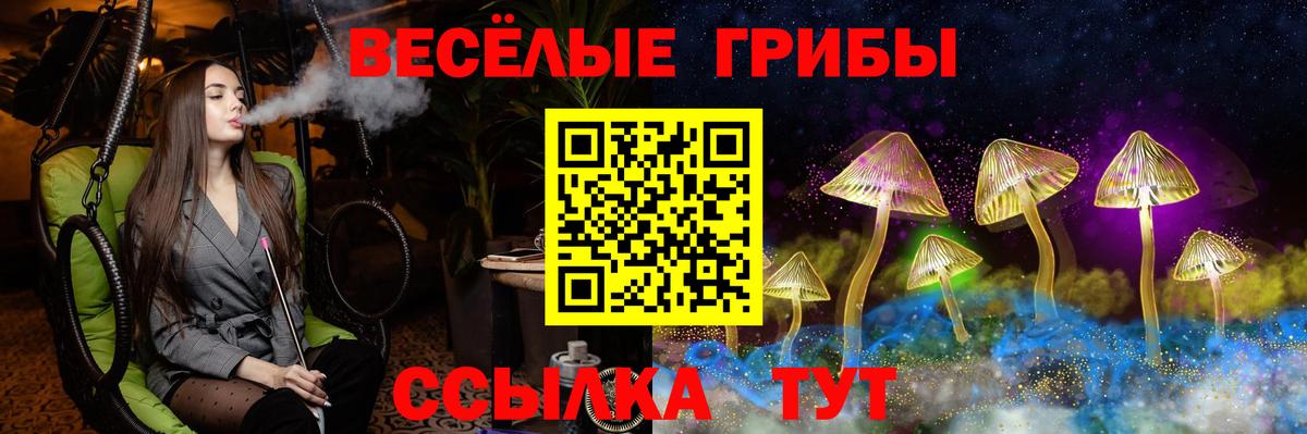 Галлюциногенные грибы Psilocybe  Вход с VPN  Галлюциногенные грибы прущие грибы  Прокопьевск 